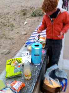 seasideparkpicnicBeachBoys