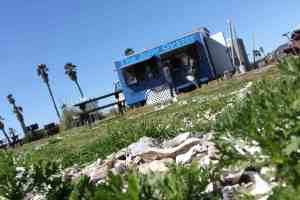 Jolly Oyster Chile Stylesm