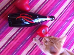 Kitten Likes Lambrusco