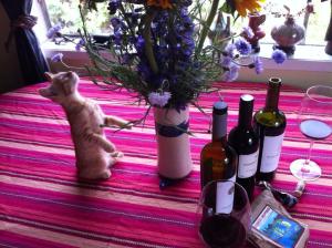 kittenOKmerlotflowers1