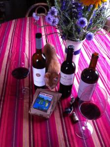 kittenOKmerlotflowers2