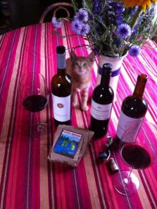 kittenOKmerlotflowers3