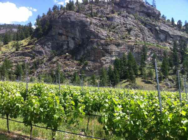 VolcanicsPaintedRock