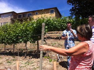 gwen'ssyrahwinegirlwine