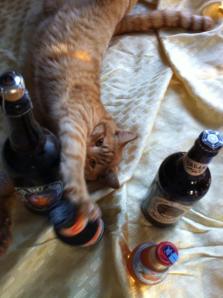 1470048_10151844915670924_2130802375_n