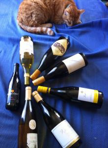 10312536_10152128349995924_6700083212344461516_n