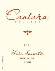 10923598_10153051100572673_6970890699354028769_n