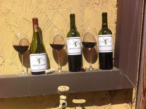 11146531_10152803299825924_4049440159212234290_n