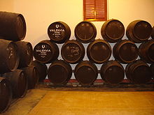 220px-ValdiviaJerez52